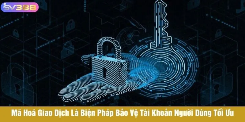 Mã hoá giao dịch là biện pháp bảo vệ tài khoản người dùng tối ưu