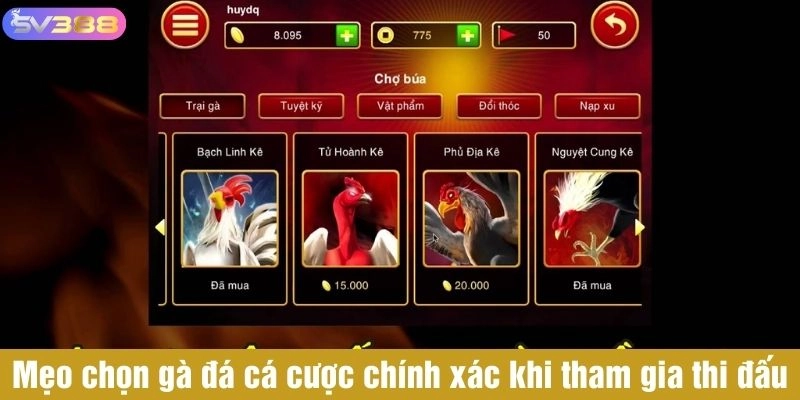 Mẹo chọn gà đá cá cược chính xác khi tham gia thi đấu