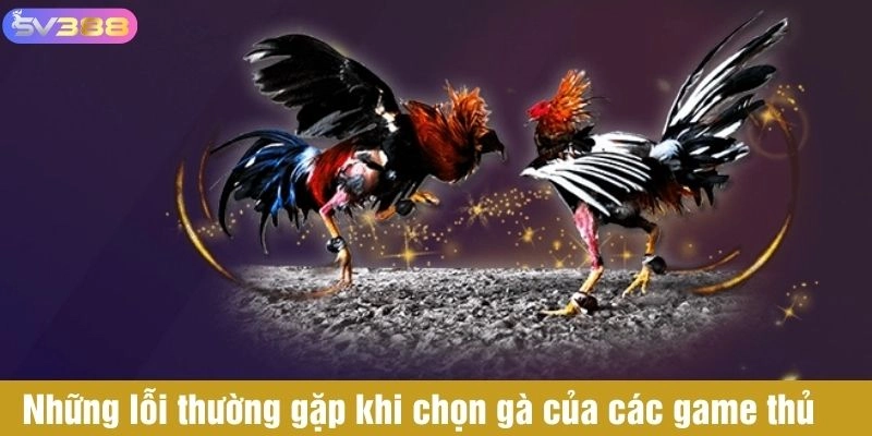 Những lỗi thường gặp trong mẹo chọn gà cá cược của các game thủ 