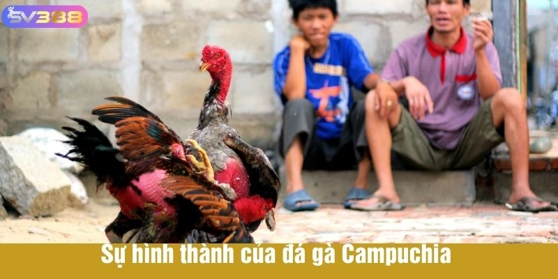 Sự hình thành của đá gà Campuchia