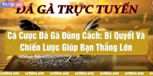 cach ca cuoc da ga dung cach