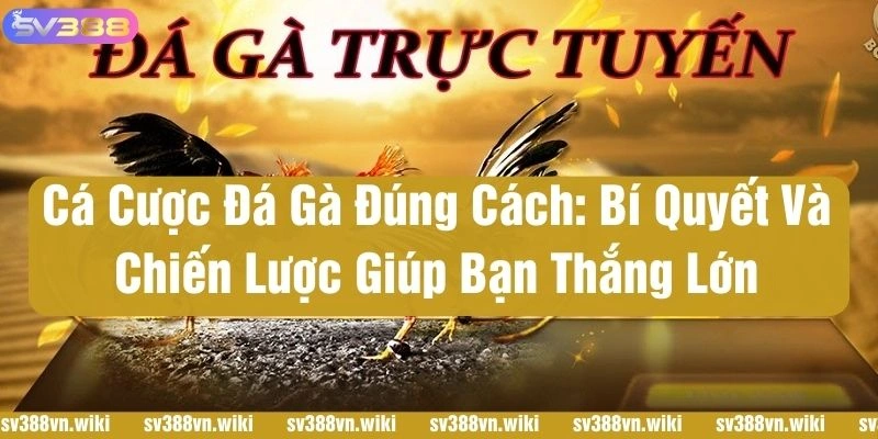 cach ca cuoc da ga dung cach