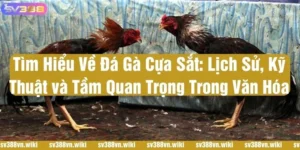 đá gà cựa sắt