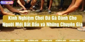 kinh nghiệm chơi đá gà
