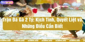 trận đá gà 2 tỷ