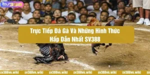 Trực tiếp đá gà